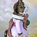 Tabitha Bailey Photo 44