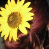 Anne Lawlor Photo 6