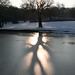 Robin Middleton Photo 36
