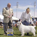 Debbie Mullen Photo 27