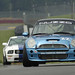Trevor Cooper Photo 33