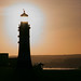 David Swales Photo 26