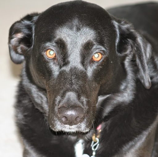 Bonnie Mcgee Photo 32