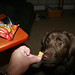 Teddy Graham Photo 31