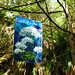 Debbie Gardiner Photo 28