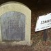 Edward Gray Photo 15