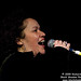 Linda Steiner Photo 13