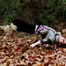 Audrey Forrest Photo 18