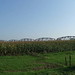 John Thompson Photo 6