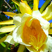 Sharon Hightower Photo 11