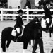 Judith Sloan Photo 23