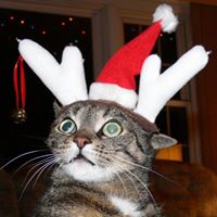 David Coons Photo 33