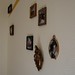 Rebecca Steele Photo 20