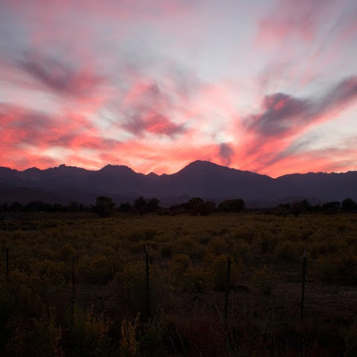 Curtis Hendricks Photo 32