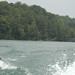 Julia Loughran Photo 9