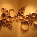 Susan Lyman Photo 37