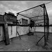 Jesus Terrazas Photo 40