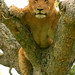Elizabeth Wild Photo 13