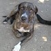 Amy Briscoe Photo 10