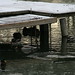 Thomas Ponton Photo 7