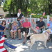 Judi Jones Photo 7
