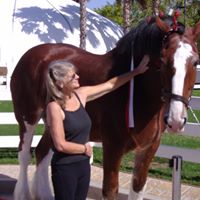 Debra Meyers Photo 25