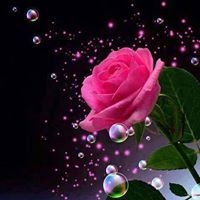 Eman Mohammad Photo 8