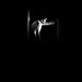 Dan Selby Photo 16