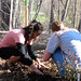 Nancy Frick Photo 23