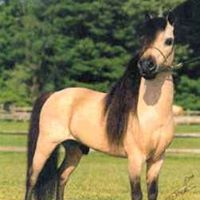 Jean Shepherd Photo 15
