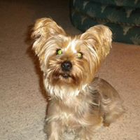Cindy Joyner Photo 17