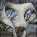 Paul Hocker Photo 16