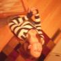 Bailey May Photo 12