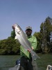 Bobby Lang Photo 29