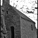 Cliff Priest Photo 9