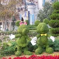 Carla Yoder Photo 12