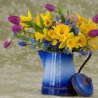 Carole Allen Photo 40