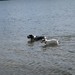 Melissa Curby Photo 10
