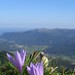 Betsy Nieves Photo 16