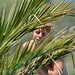 Sandra Justus Photo 29