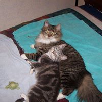 Erin Davison Photo 41 Erin Davison Photo 41