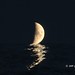 Joy Luna Photo 15