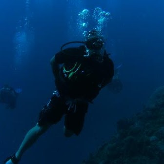 Robert Stanton Photo 14