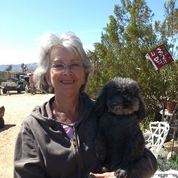 Janet Mcguire Photo 15