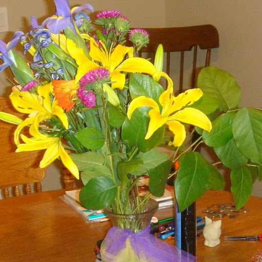 Debbie Lee Photo 41