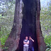 Sandra Grove Photo 11