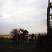 Willie Carson Photo 31