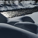 Jan Luce Photo 9