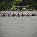 Steven Shell Photo 22