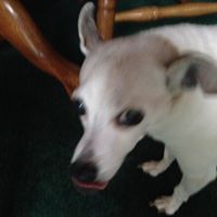 Joanne Duncan Photo 24